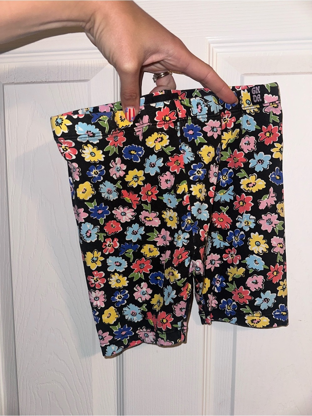 Ghanda Black Floral Bike Shorts with Multicolor Blooms